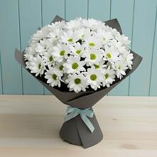 Букет цветов из:  Хризантемы в Люберцах