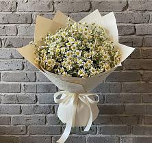 Букет цветов из:  Ромашки в Люберцах