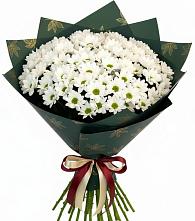 Букет цветов из:  Хризантемы #REPLACE_PRED# Люберцах