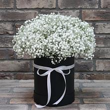 Цветочная композиция из Гипсофила в шляпной коробке в Люберцах