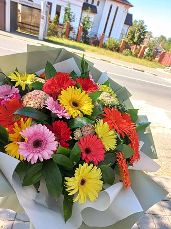 Букет цветов из: Герберы в Люберцах