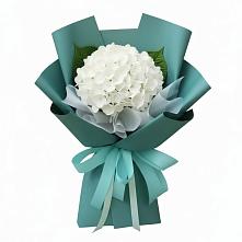 Букет цветов из:  Гортензия в Люберцах